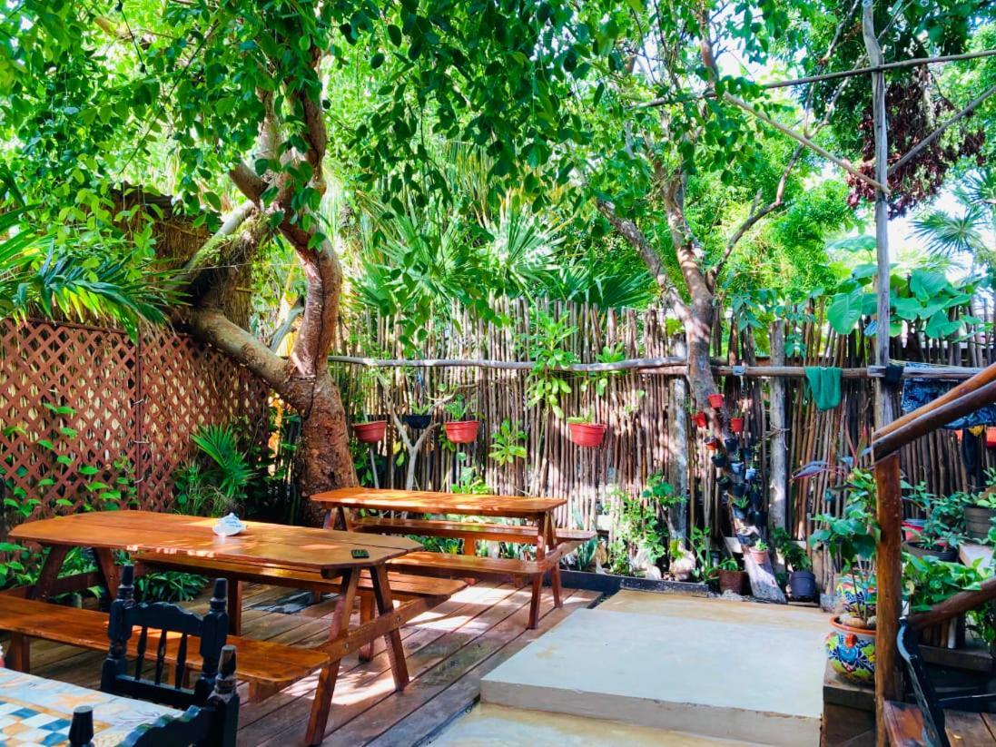 Hostal Holbox ภายนอก รูปภาพ