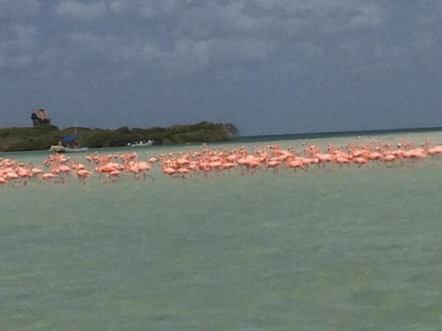 Hostal Holbox ภายนอก รูปภาพ