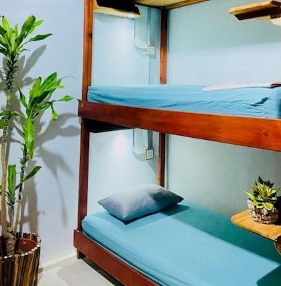 Hostal Holbox ภายนอก รูปภาพ